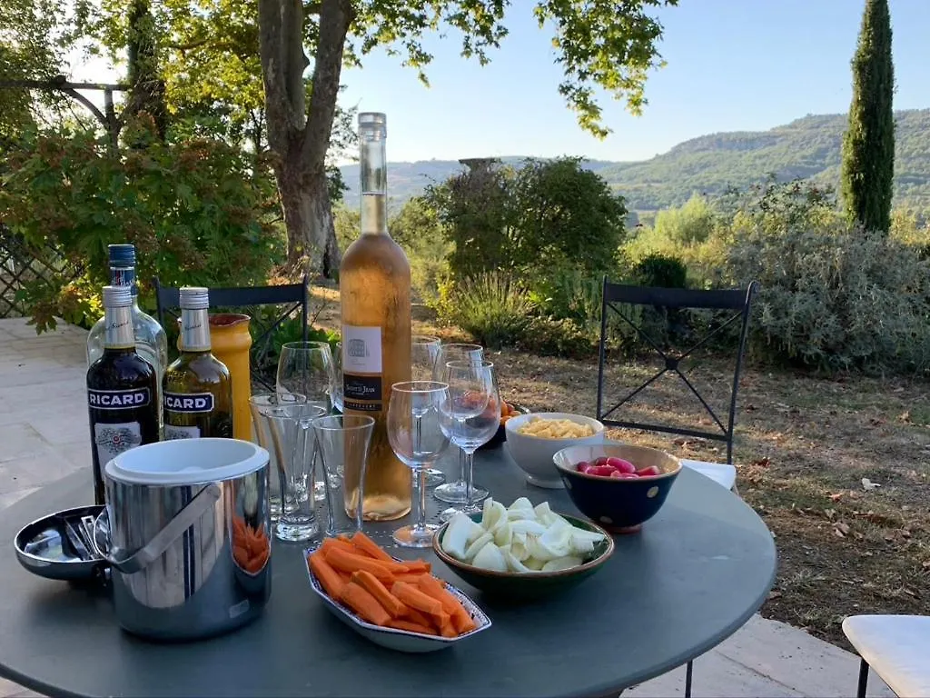 Villa Du Defens Saint-Martin-de-Castillon 法国